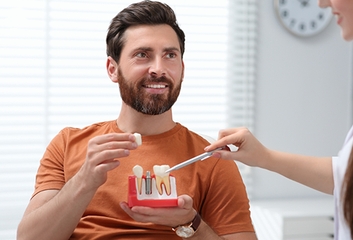 Bearded male dental patient holding dental implant model