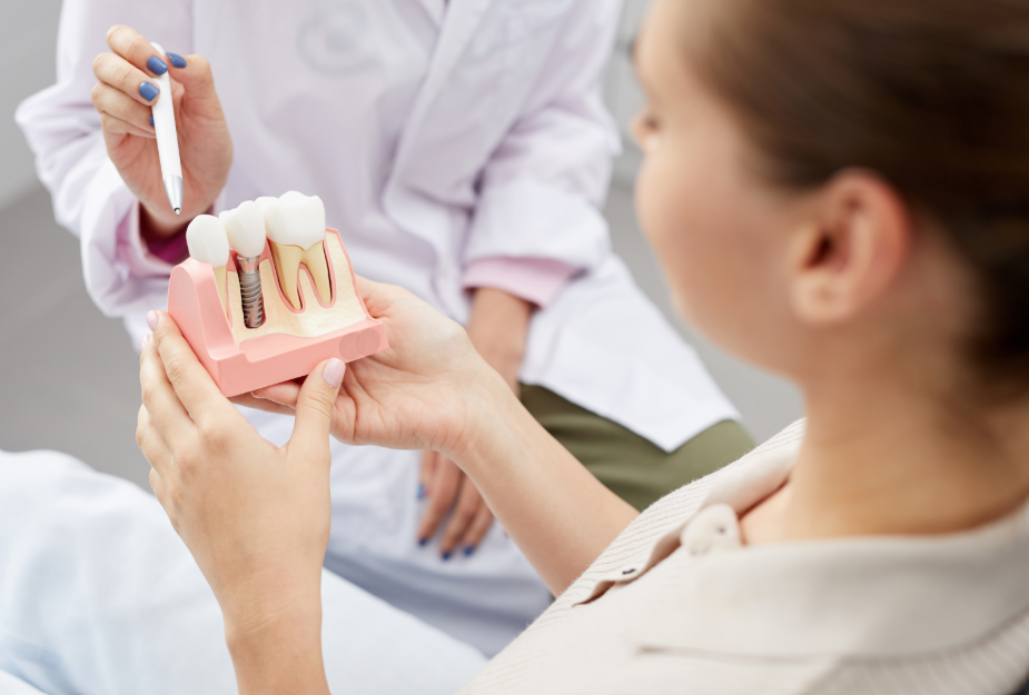 Dentist showing patient model dental implant